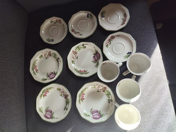 Churchill England "Fruits" -kahviastiasto (12 osaa)