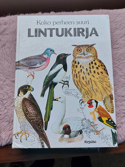 Koko perheen lintukirja