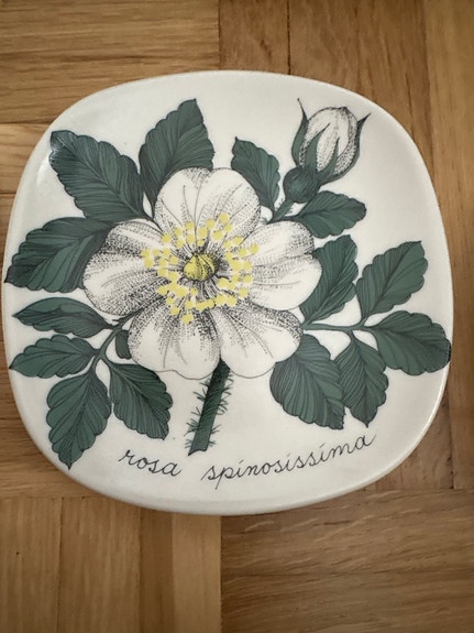 Arabia Botanica