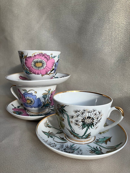 Vintage kupit ja lautaset Lomonosov