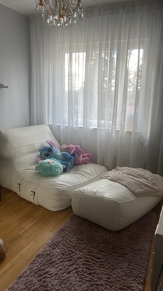 Furninova Frog lepotuoli ja rahi