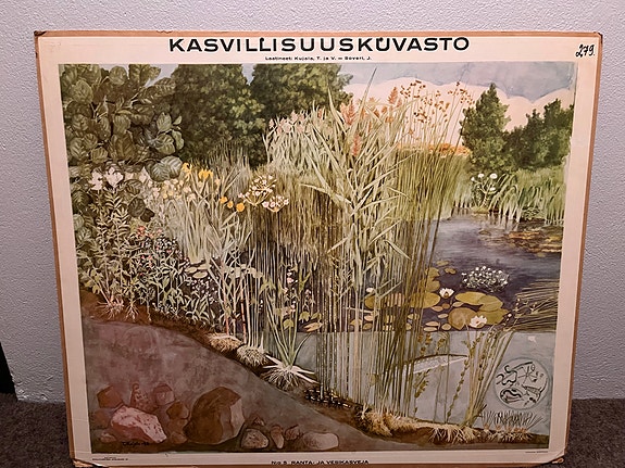 Opetustaulu