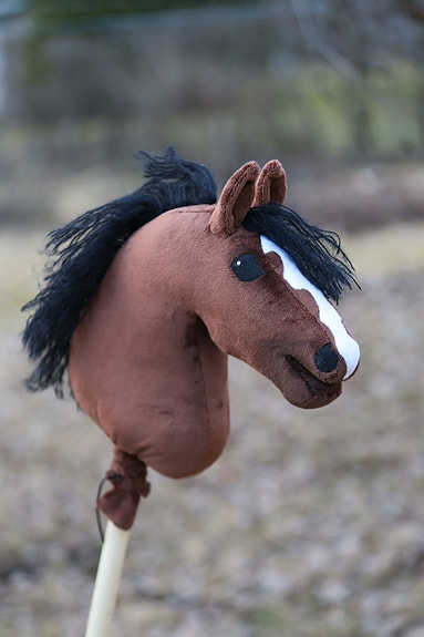 Ruskea keppihevonen mustalla harjalla