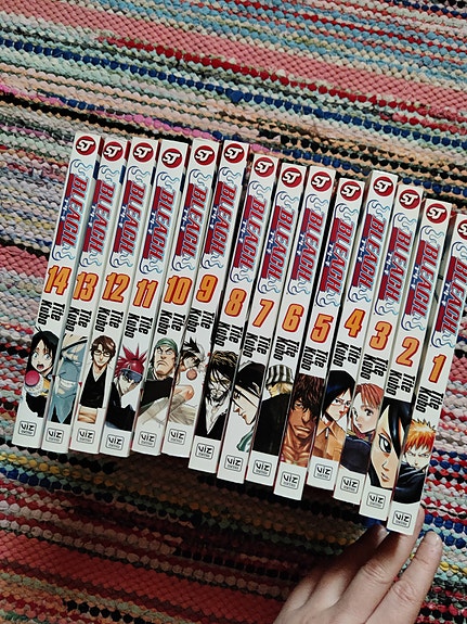 Bleach manga 1-14 🇬🇧