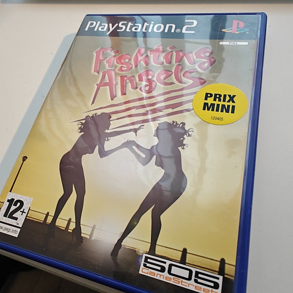 Fighting Angels PS2-peli (CIB)