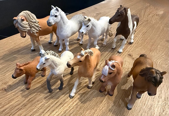 Schleich-poneja