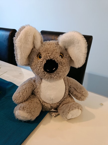 Svensktalande koala