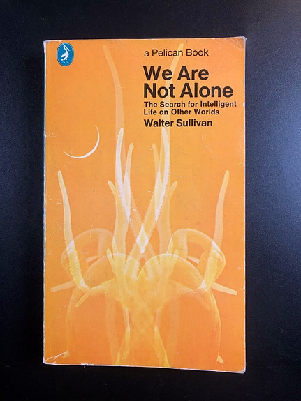 We Are Not Alone by Walter Sullivan (Book in English)