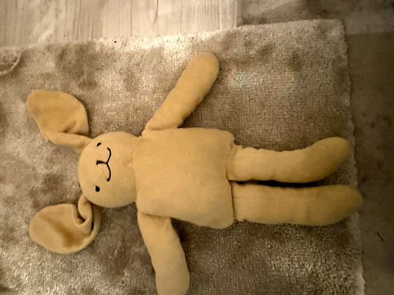 Pupu