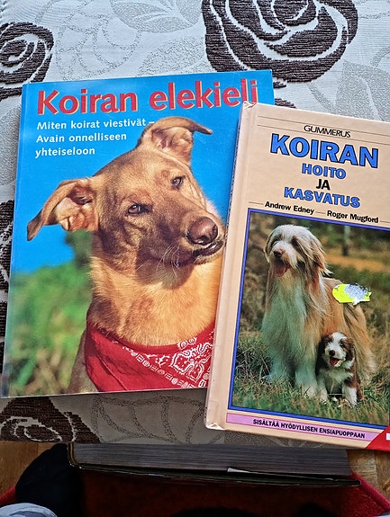 Koiran elekieli ja koiran hoito ja kasvatus