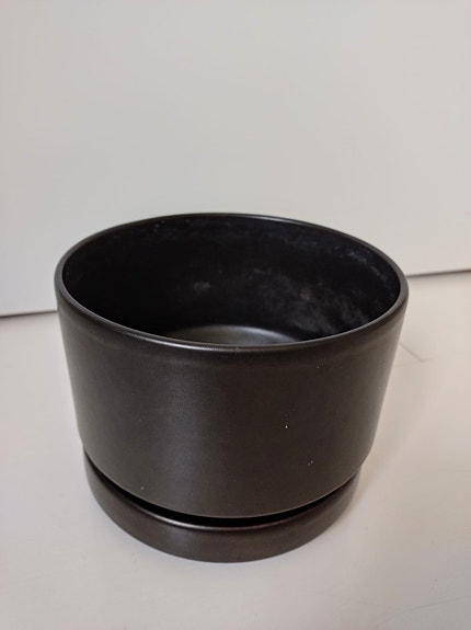Musta Arabia SN ruukku 17 cm