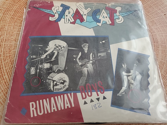 Stray cats