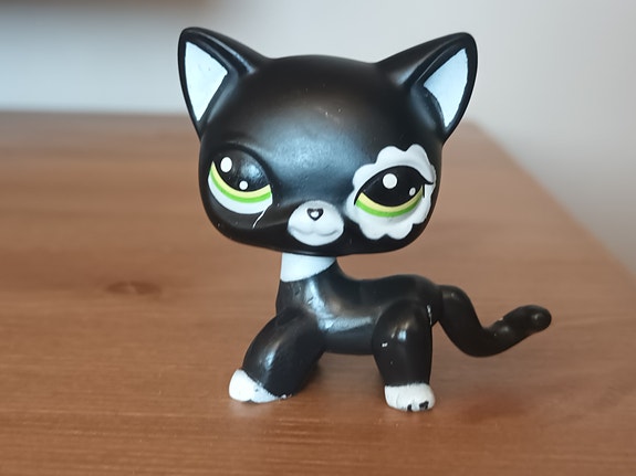 Lps #2249 seisova musta kissa