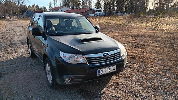 Subaru forester osina