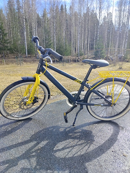 Tunturi Energy  20"