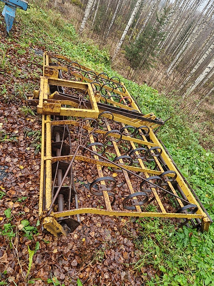 Potila äes, äkeet