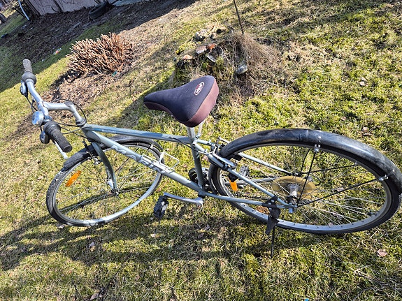 Marin pyörä 24"