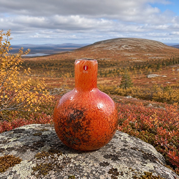🍁 Oiva Toikka / Tunturissa pullo / 17cm / Signeerattu / Ruska