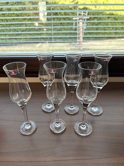 Iittala Loimu kuohuviinilasit