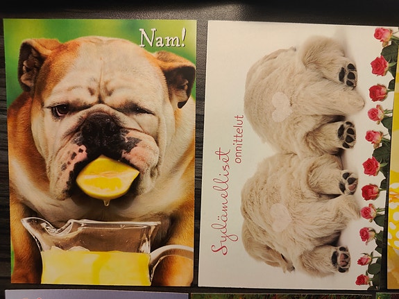 Product image 2 of 7