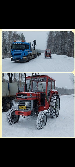 Ostetaan Massey Ferguson 165