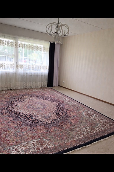 Aito persialainen matto 300 × 400 cm.