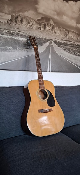 Fender F-35 (Vintage)