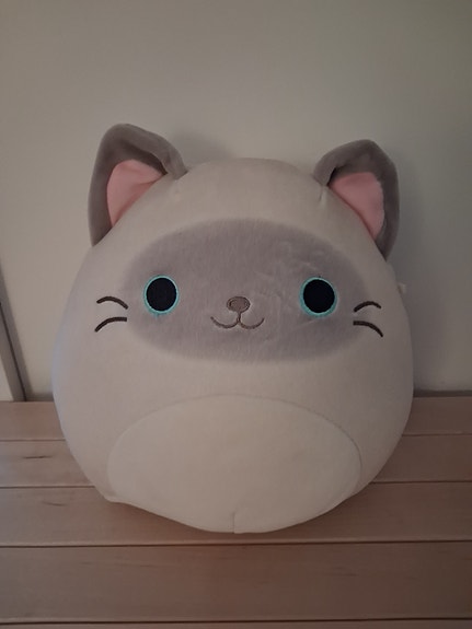 Squishmallows pehmolelu kissa