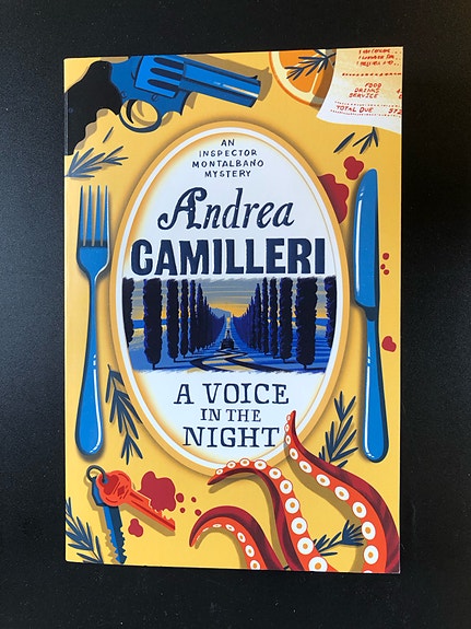 A Voice in the Night by Andrea Camilleri (Book in English)