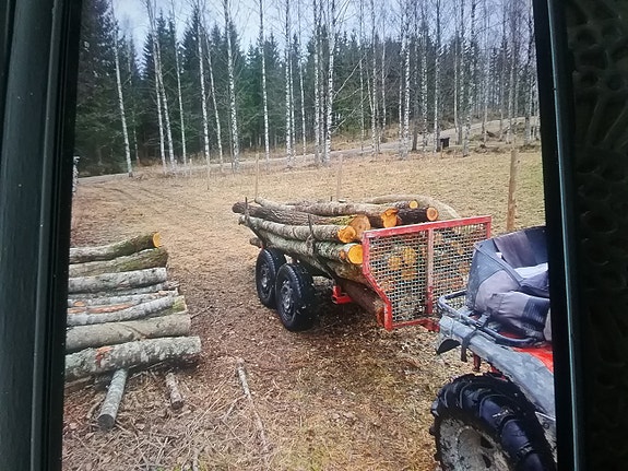 Polttopuuta Kaavilla, tuoretta n.5 pinomottia