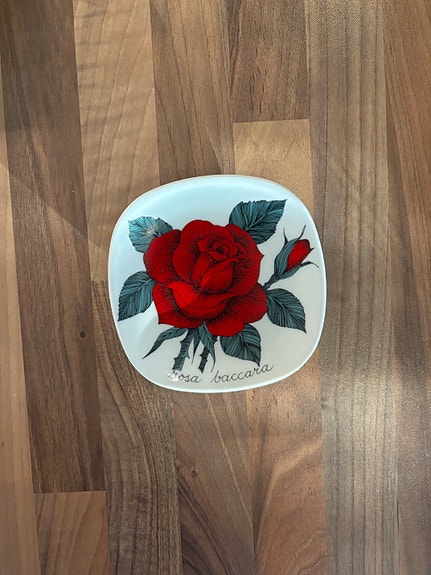 Arabia Esteri Tomula seinälautanen, Rosa Baccara