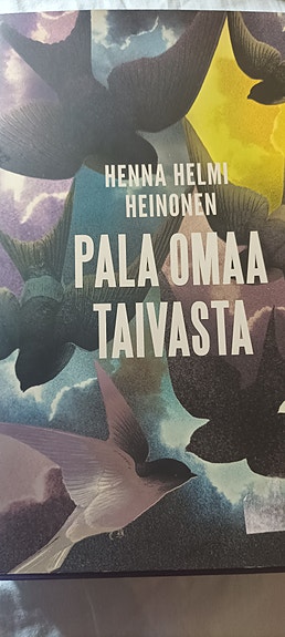 Henna Helmi Heinonen Pala omaa taivasta romaani