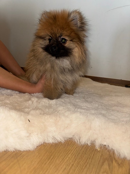 Product image 4 of 9