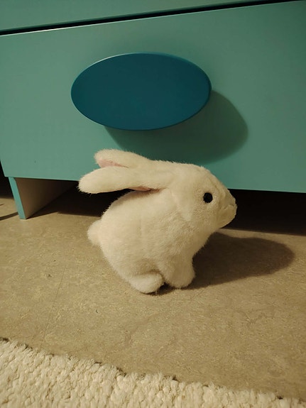 Pomppiva pupu valkoinen