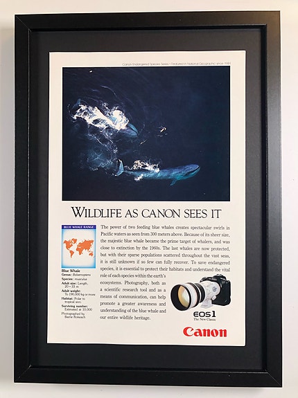 Framed 1992 Vintage Canon EOS-1 Camera Original Magazine Advertisement