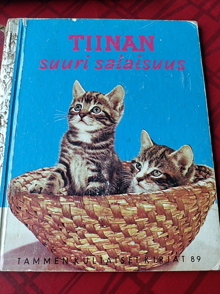 Kirja: Tiinan suuri salaisuus