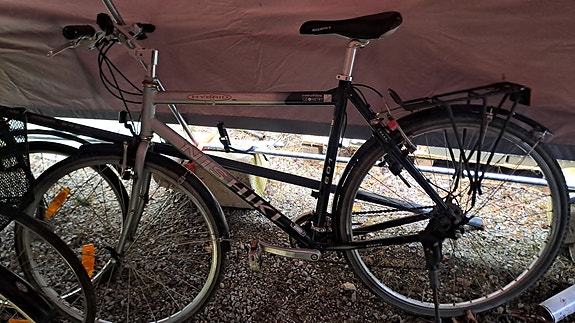 nishiki miesten pyörä