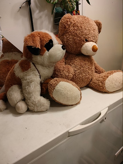 NALLE JA KOIRA