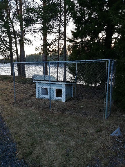 Koiranhäkki