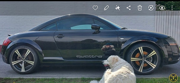 Audi TT -kesärenkaat vanteilla