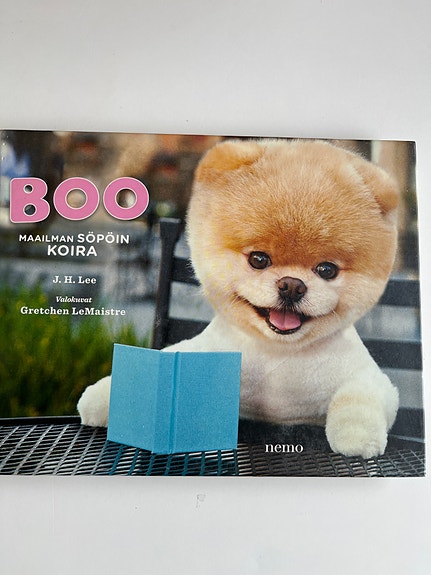 Boo. Maailman söpöin Koira. Voidaan postittaa
