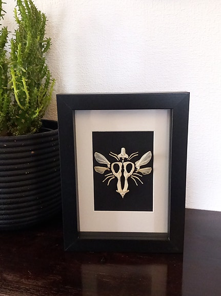 Bone bug