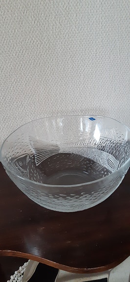 Nuutajärven kulho, kalakuvio