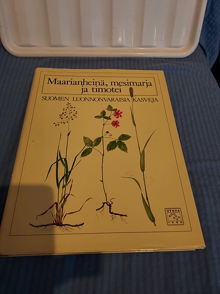 Maarianheinä,mesimarja ja timotei