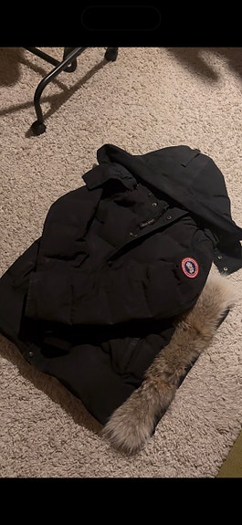 Canada goose takki