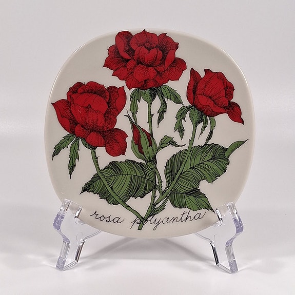Seinälautanen, Rosa polyantha, Arabia, design Esteri Tomula