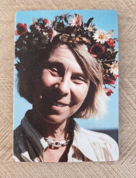 Tove Jansson -magneetti