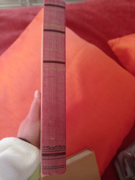 Walter Scott: Ivanhoe