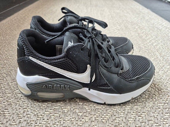 Nike Air Max