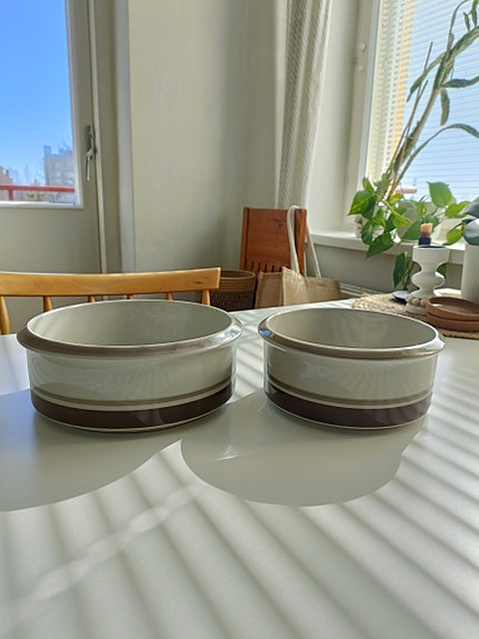 Arabian Pirtti kulhot